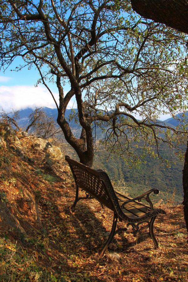 Almondhouse Suites With Fireplace - Adults Only Arachova Buitenkant foto